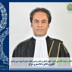 آیا خطای علمی تخلف وکلا، انتظامی است؟